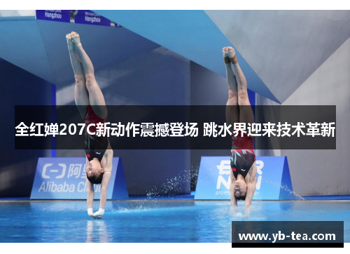 全红婵207C新动作震撼登场 跳水界迎来技术革新